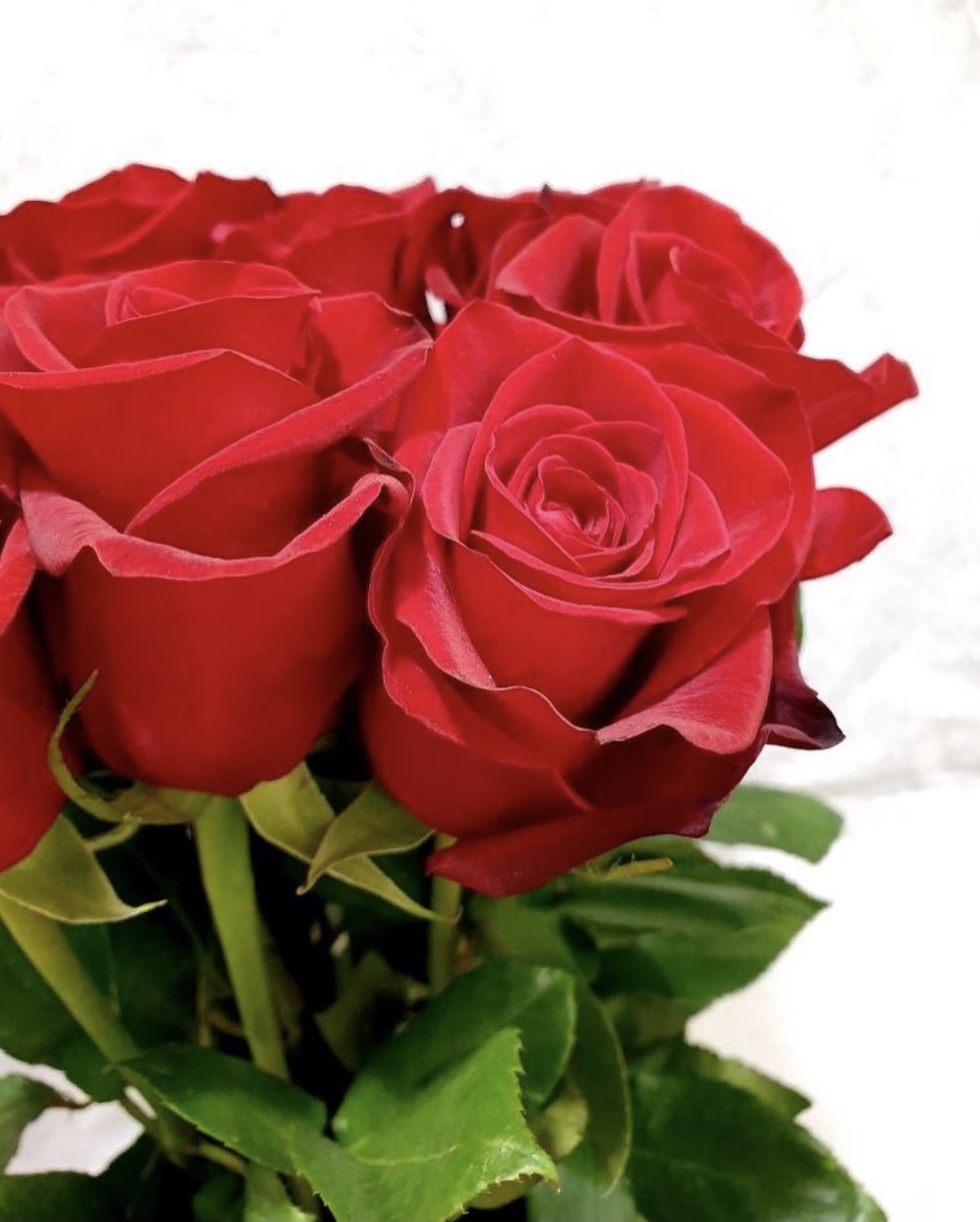 Bouquet de 10 Petites Roses - Marie Pétale