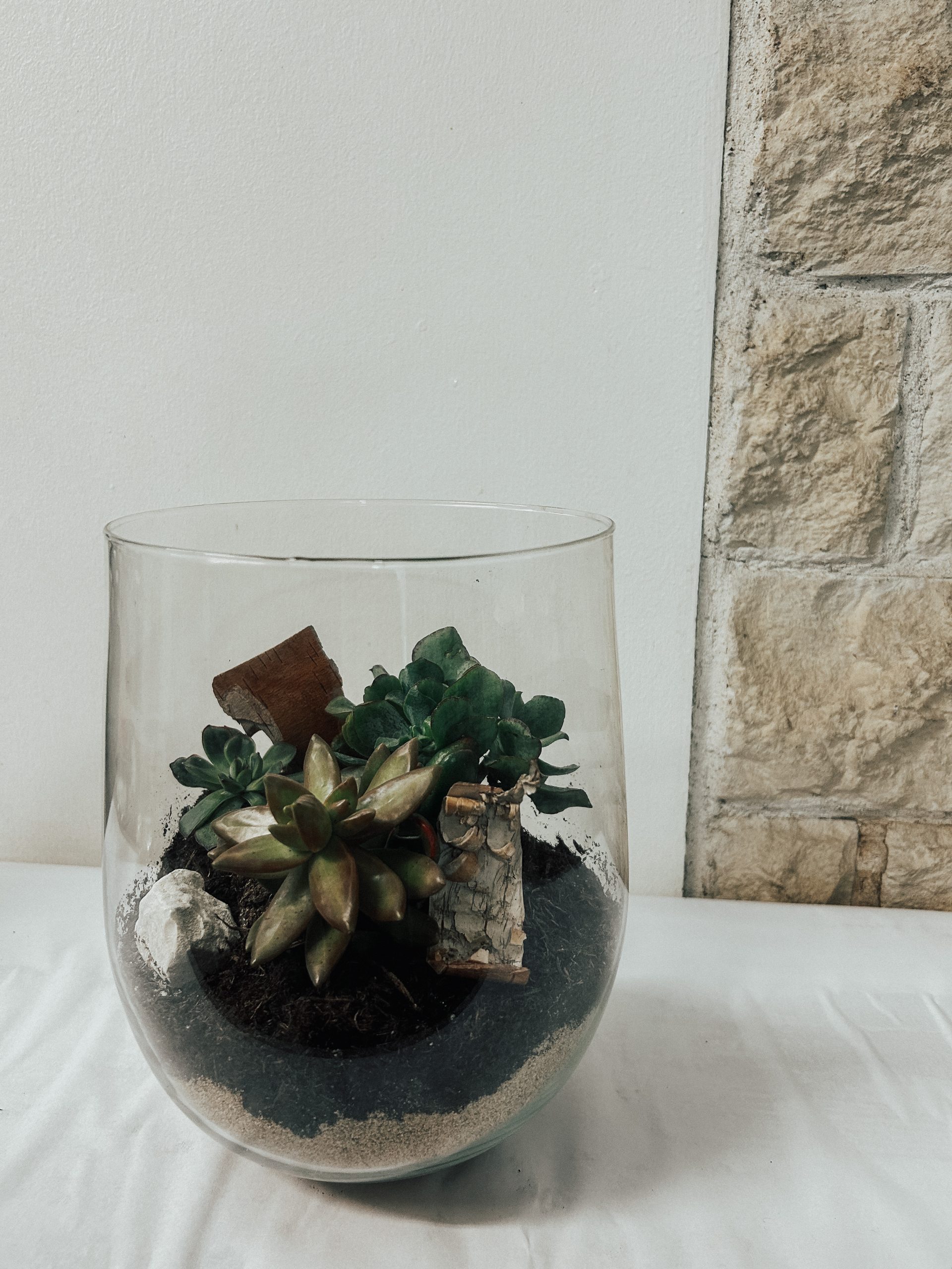 Terrarium Plantes Roses ie Miniature livraison Bloombox
