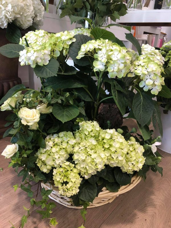 Coupe de plantes fleuries blanche Marie Pétale Lyon